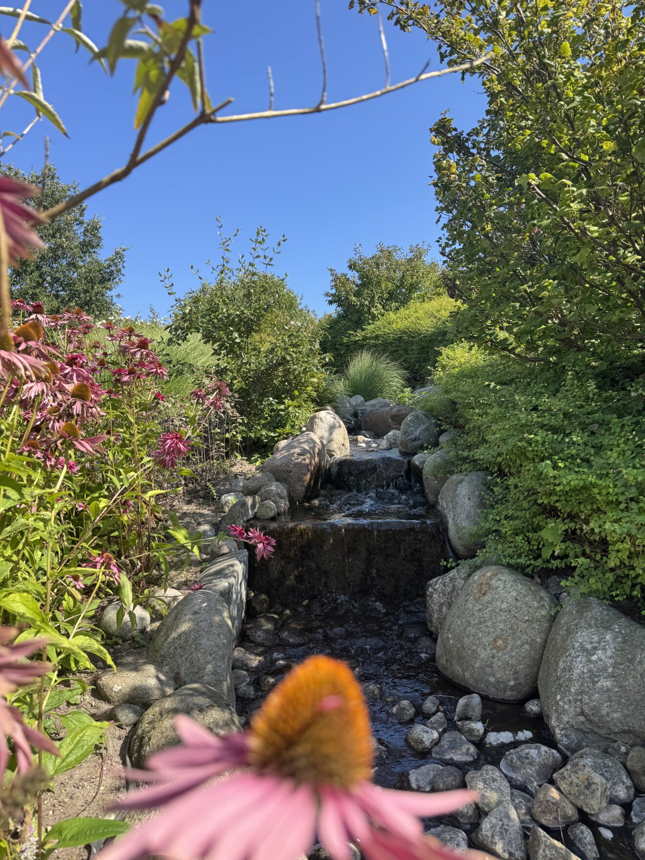 vandl&oslash;bet i sansehaven, omgivet af frodig gr&oslash;nt beplantning samt en masse flotte r&oslash;dlige blomster (R&oslash;d Solhat)