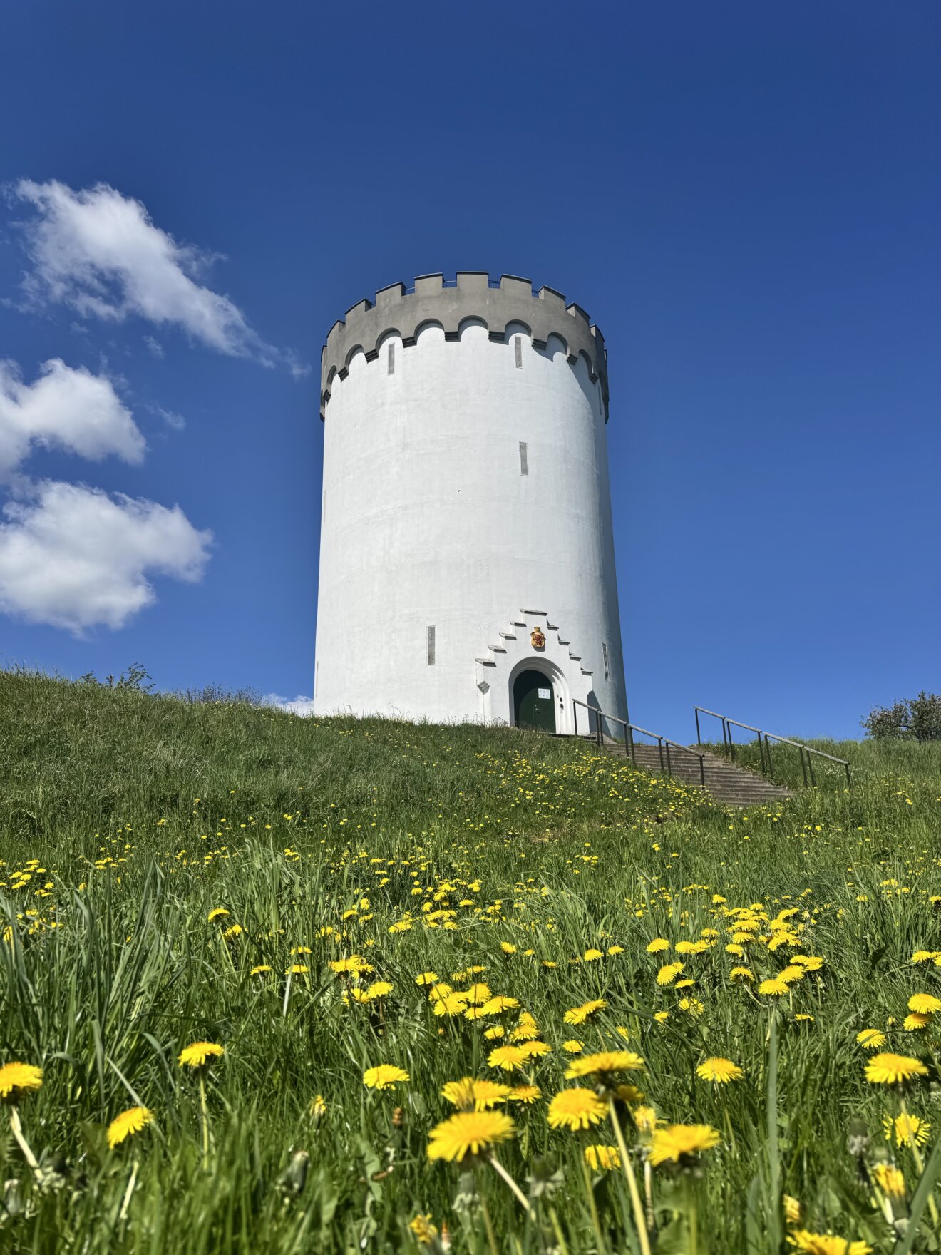 Det hvide vandt&aring;rn, p&aring; volden i Fredericia