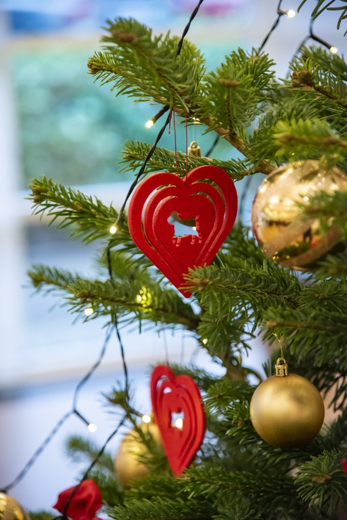 nærbillede af juletræ med pynt samt lyskæde